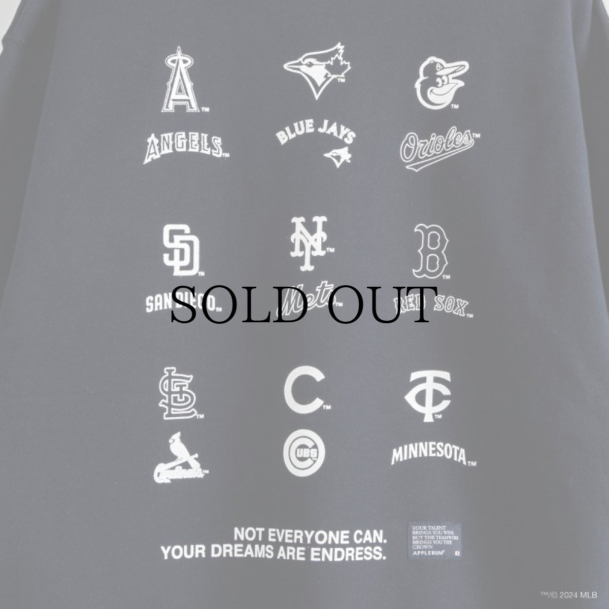 画像13: APPLEBUM(アップルバム) / “9 PLAYERS” CREW SWEAT (13)