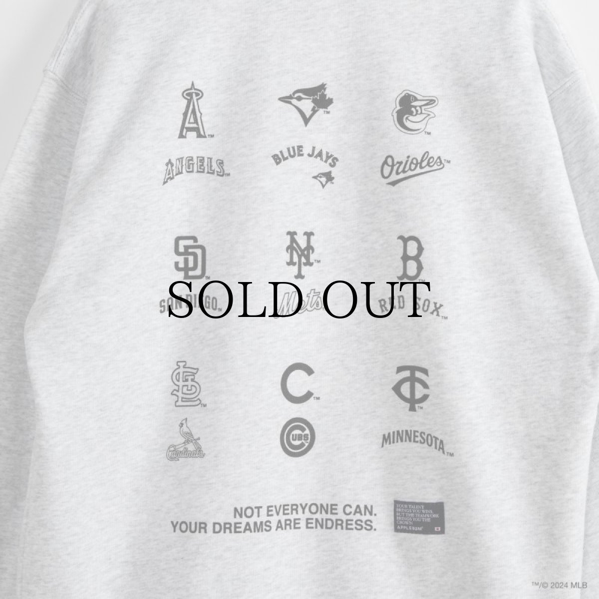 画像14: APPLEBUM(アップルバム) / “9 PLAYERS” CREW SWEAT (14)
