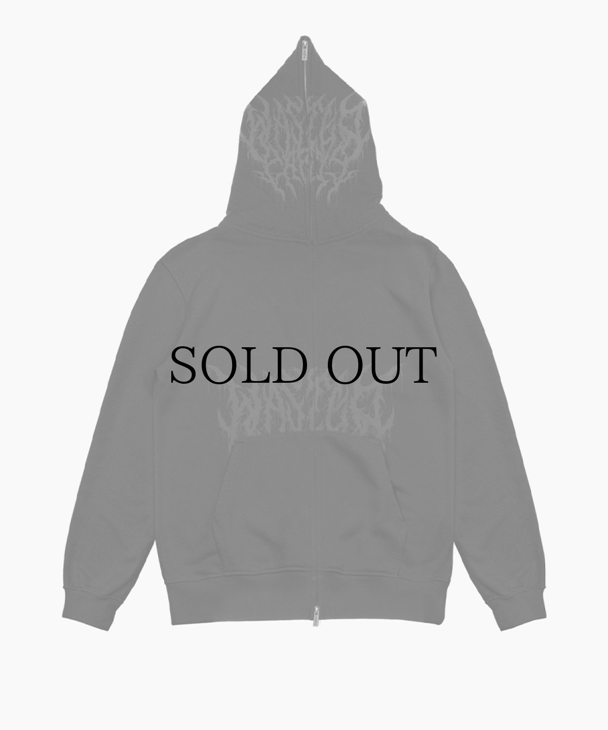 画像3: WASTED PARIS(ウェイステッド パリ) / HOODIE FULL ZIP BLITZ (3)