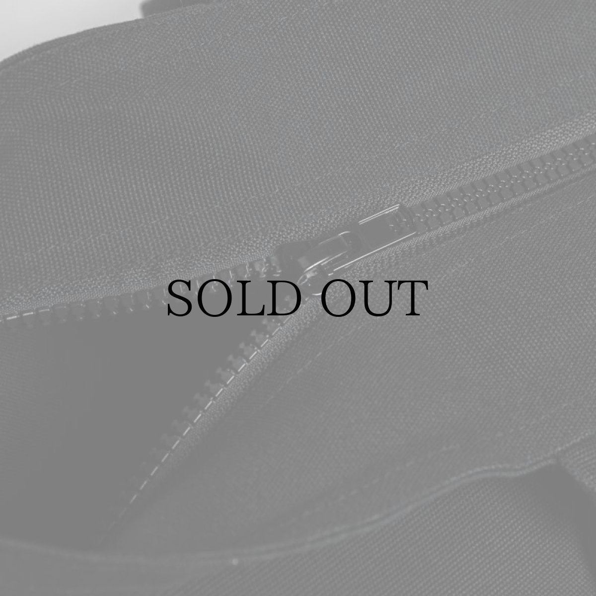 画像7: APPLEBUM(アップルバム) / 3D LOGO ZIP TOTEBAG (7)