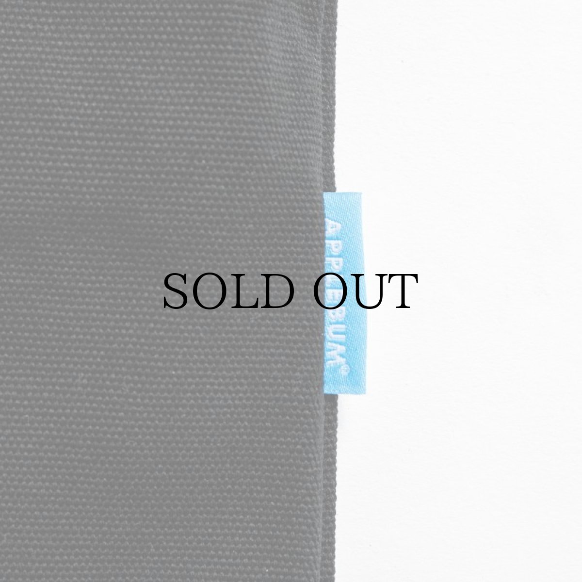 画像8: APPLEBUM(アップルバム) / 3D LOGO ZIP TOTEBAG (8)