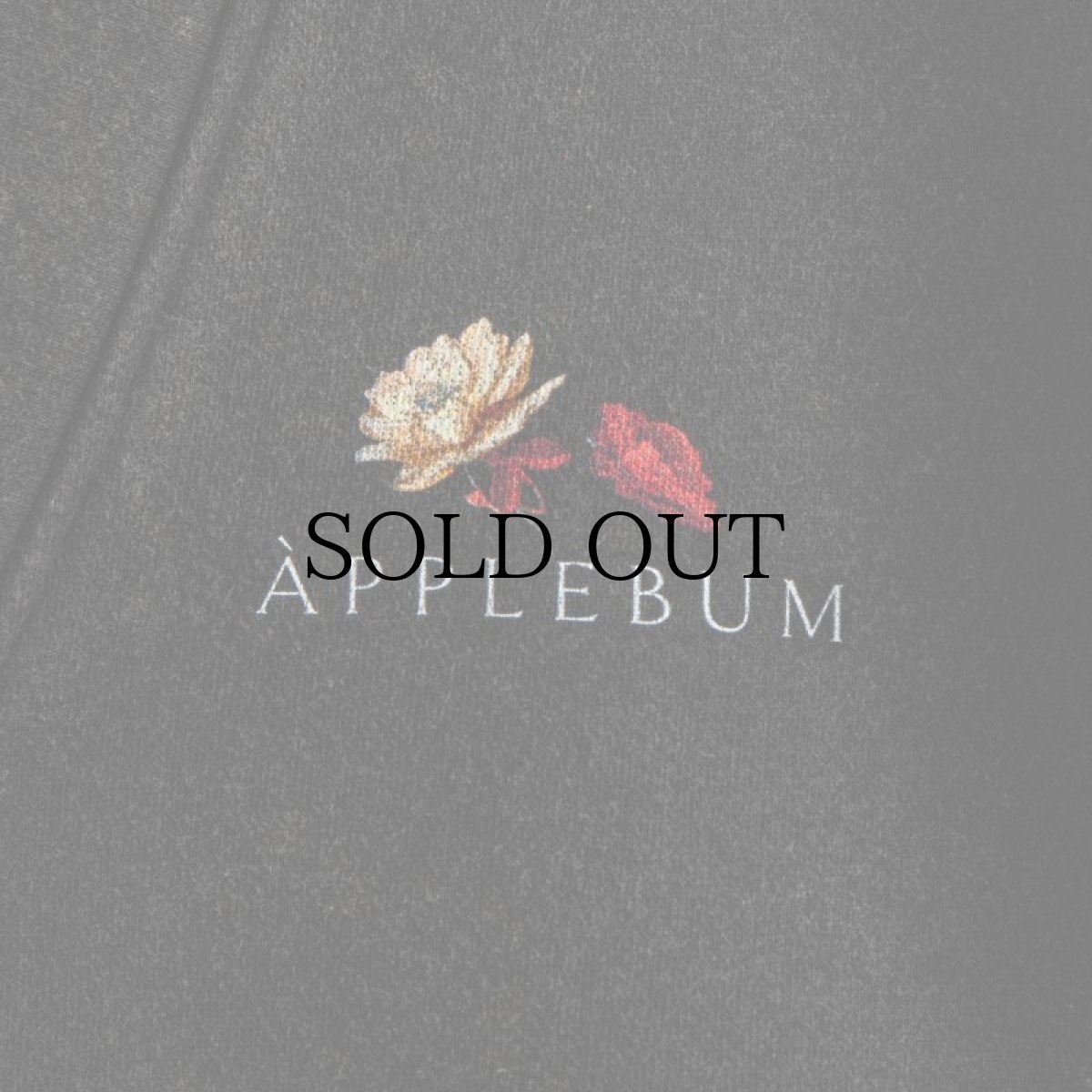 画像7: APPLEBUM(アップルバム) / POWDER BLEACH SWEAT CARDIGAN (7)