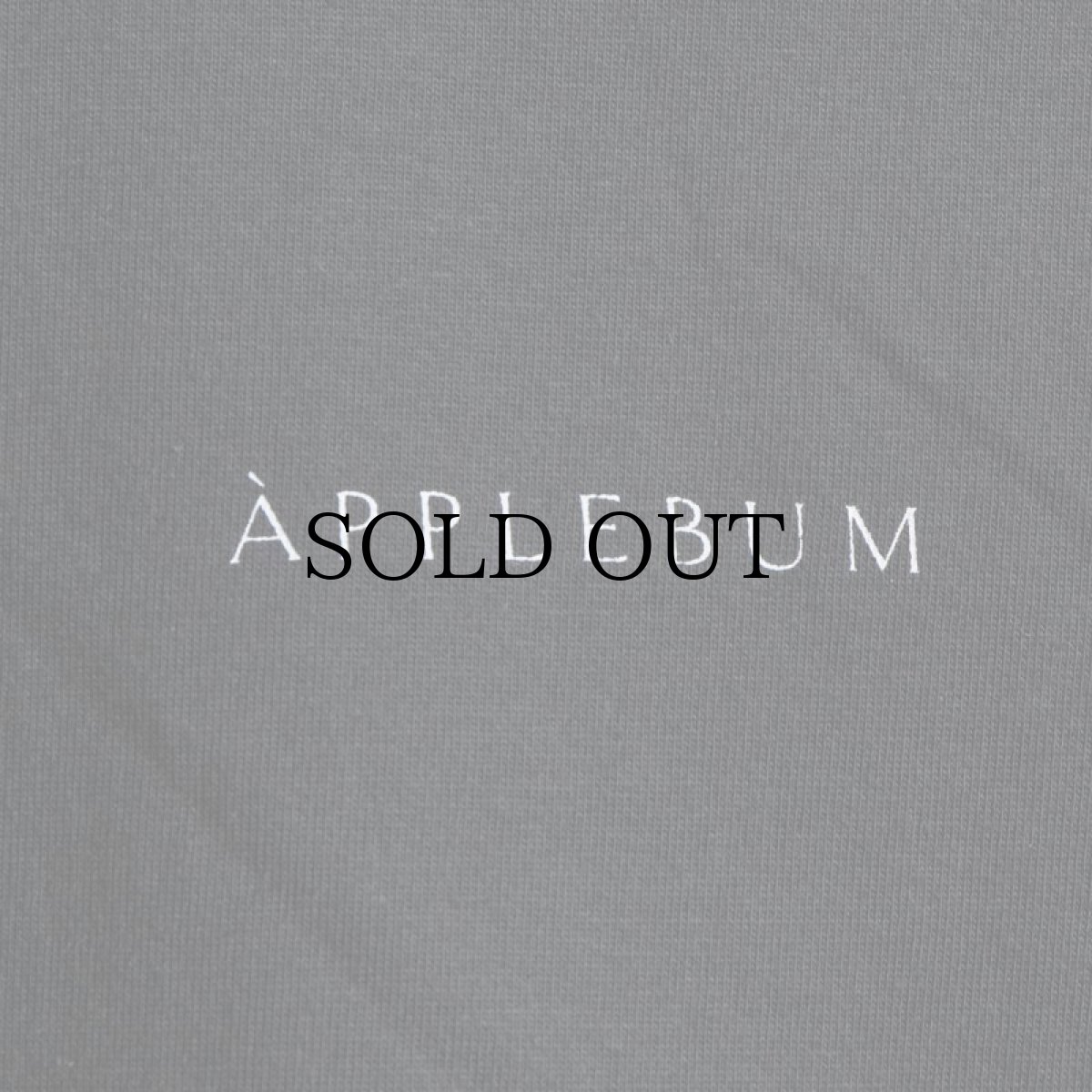 画像7: APPLEBUM(アップルバム) / "RENAISSANCE BALLER" T-SHIRT (7)