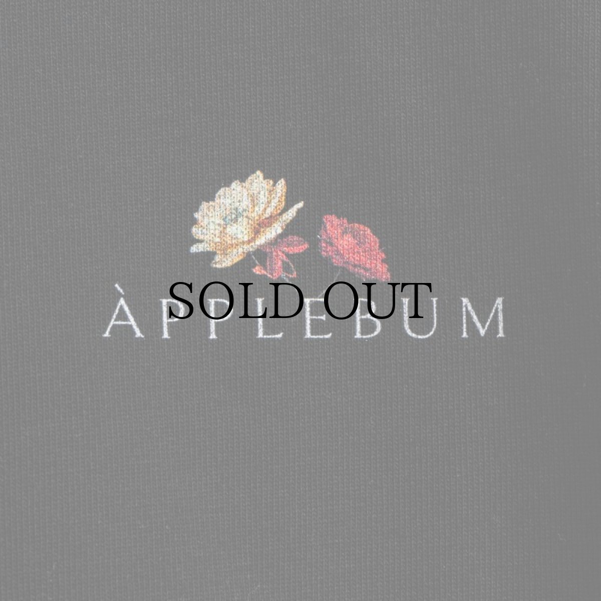 画像7: APPLEBUM(アップルバム) / "UTOPIA" T-SHIRT (7)