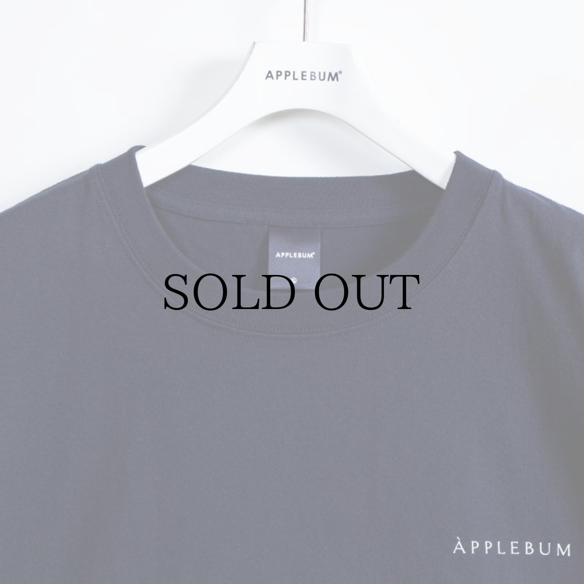 画像5: APPLEBUM(アップルバム) / "SUMMER MADNESS" T-SHIRT (5)