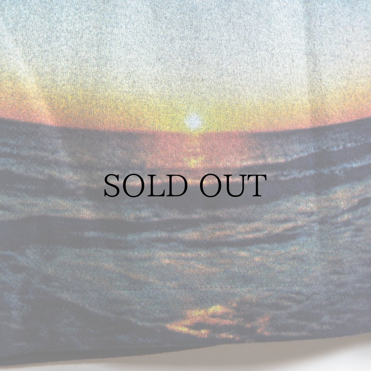 画像7: APPLEBUM(アップルバム) / "SUMMER MADNESS" T-SHIRT (7)