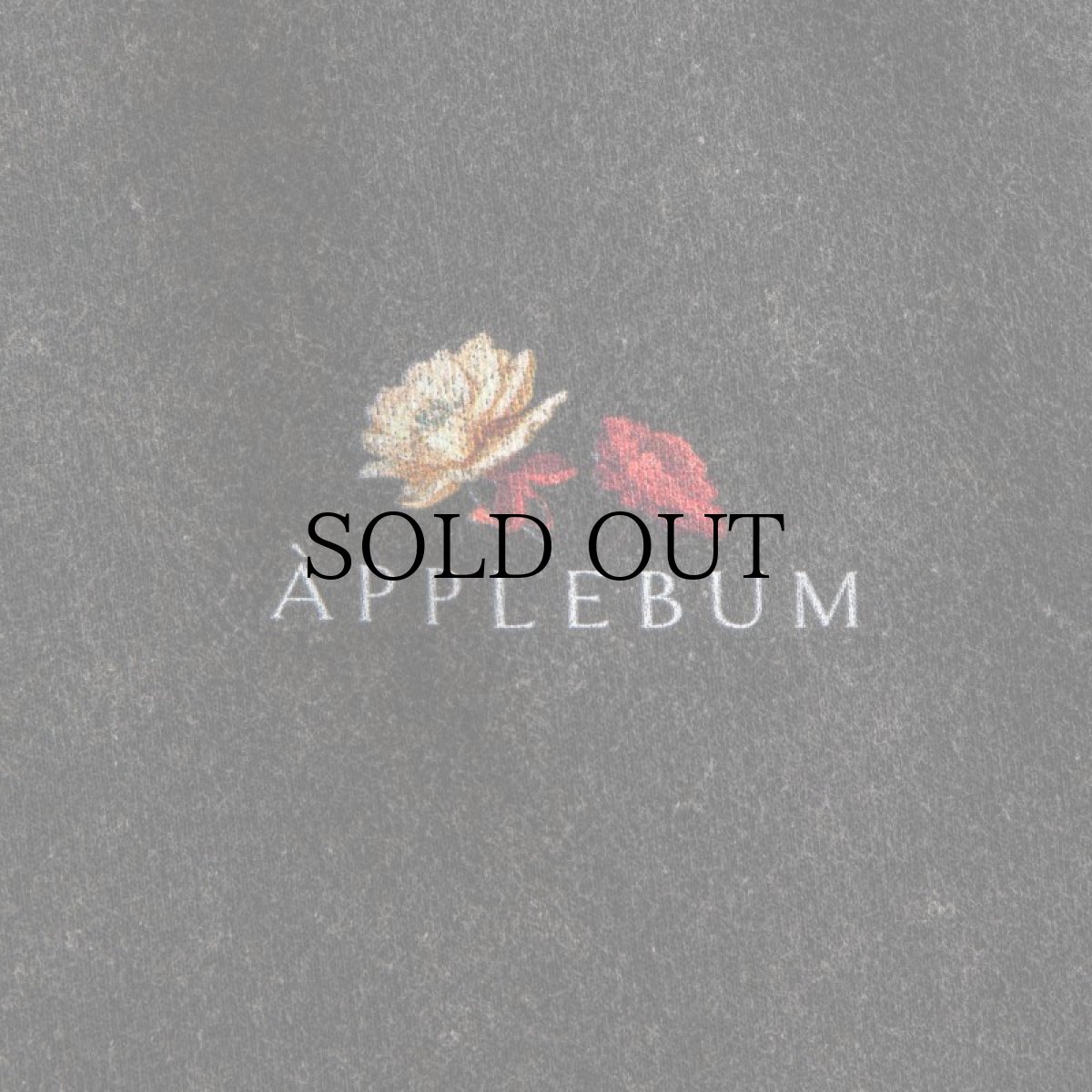 画像5: APPLEBUM(アップルバム) / POWDER BLEACH SWEAT PANTS (5)