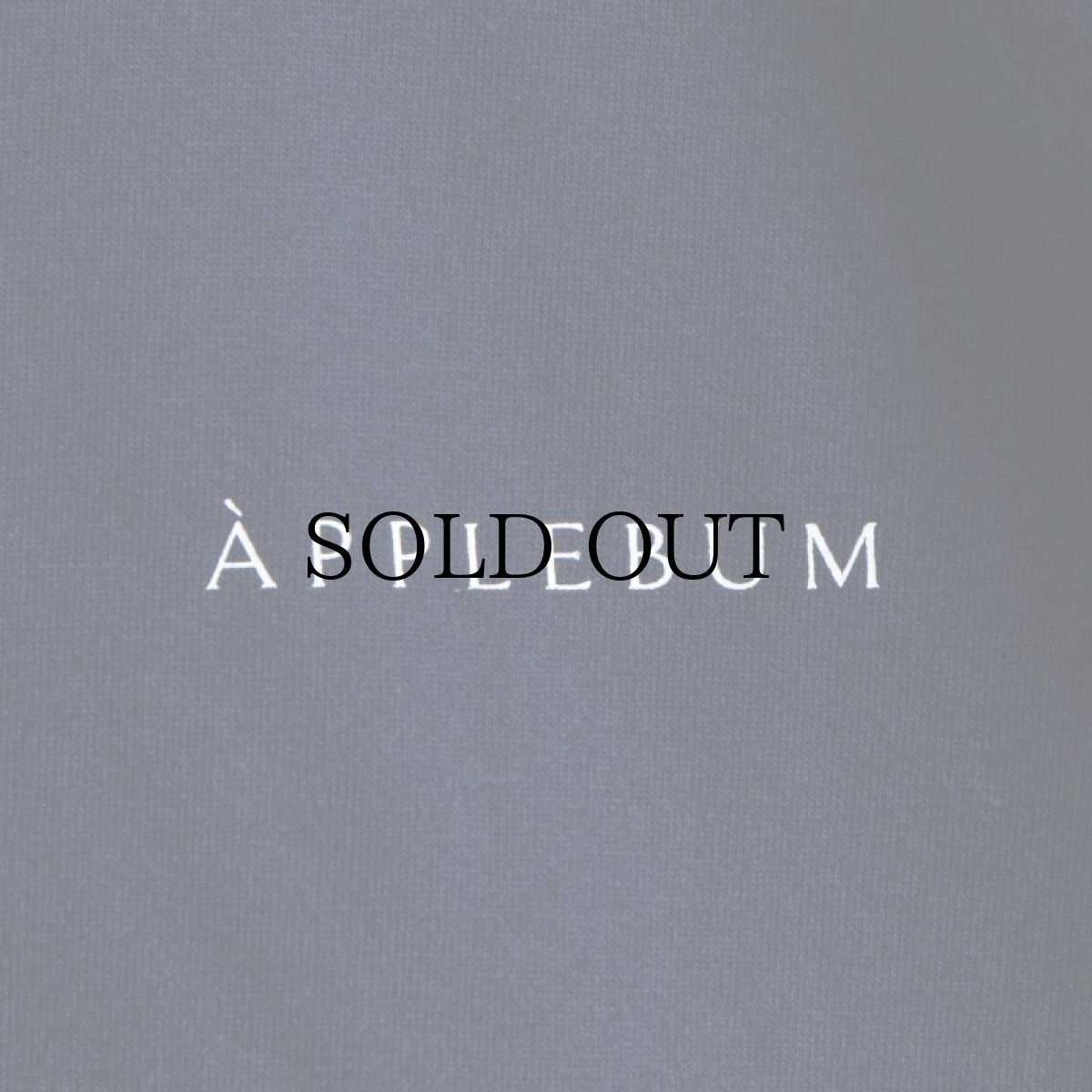 画像6: APPLEBUM(アップルバム) / "SUMMER MADNESS" T-SHIRT (6)