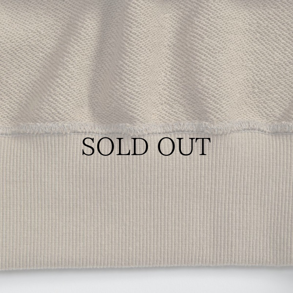 画像17: APPLEBUM(アップルバム) / ”2 OF AMERIKAZ MOST WANTED” SWEAT PARKA (17)