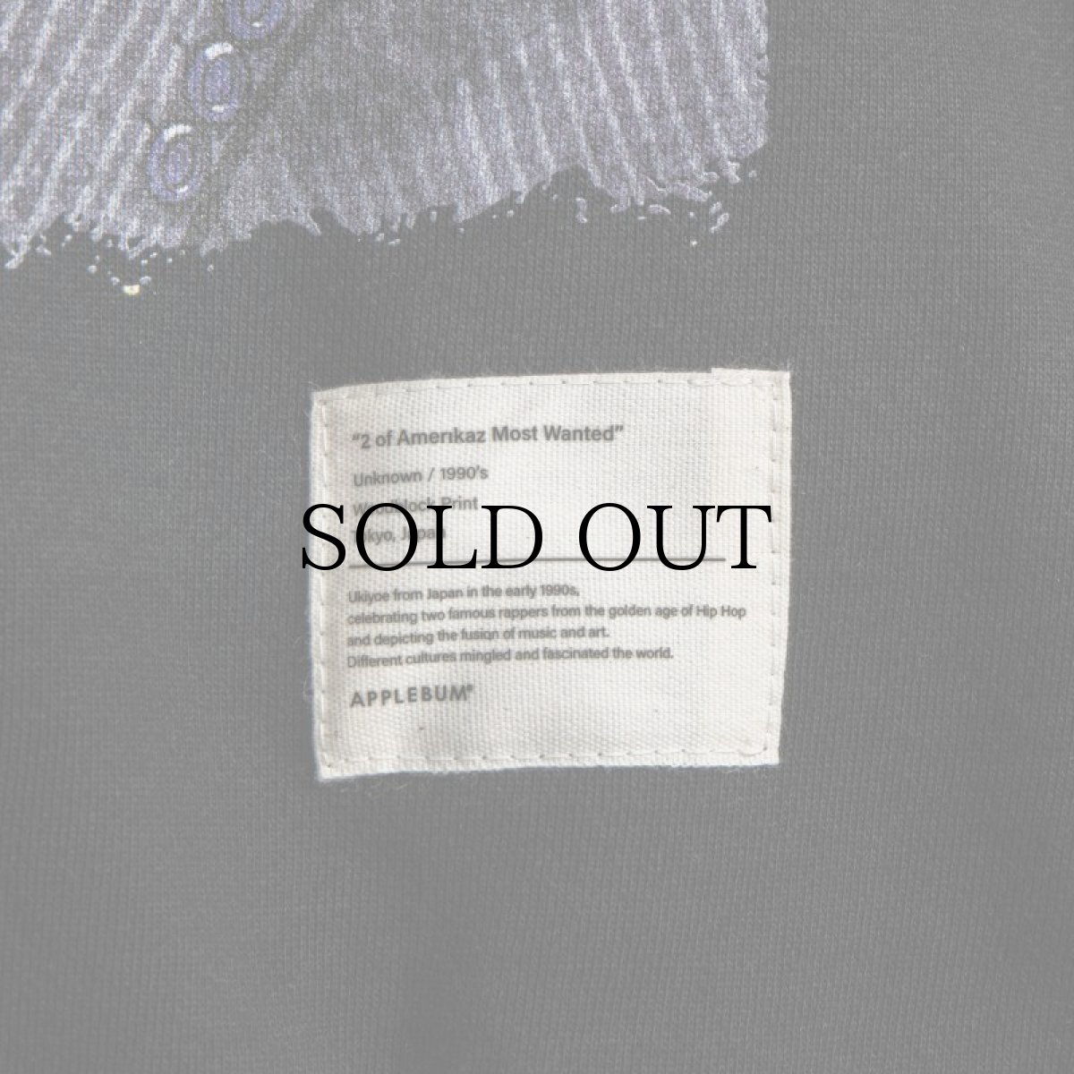 画像14: APPLEBUM(アップルバム) / ”2 OF AMERIKAZ MOST WANTED” SWEAT PARKA (14)