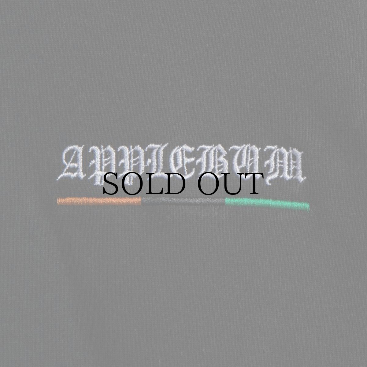 画像8: APPLEBUM(アップルバム) / ”2 OF AMERIKAZ MOST WANTED” SWEAT PARKA (8)