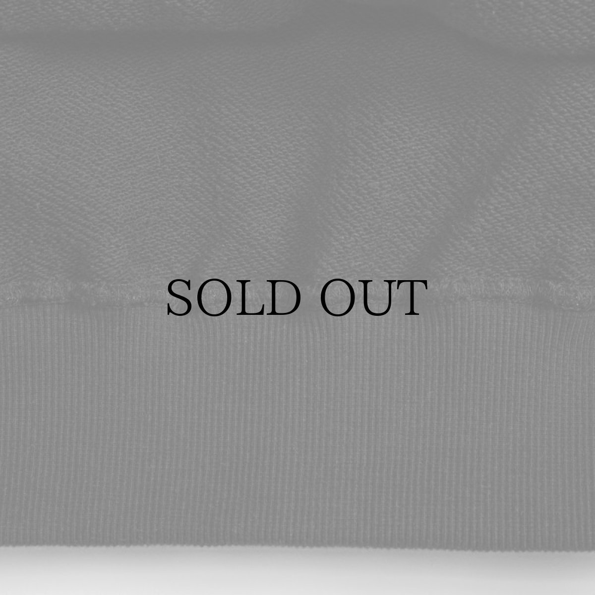 画像16: APPLEBUM(アップルバム) / ”2 OF AMERIKAZ MOST WANTED” SWEAT PARKA (16)