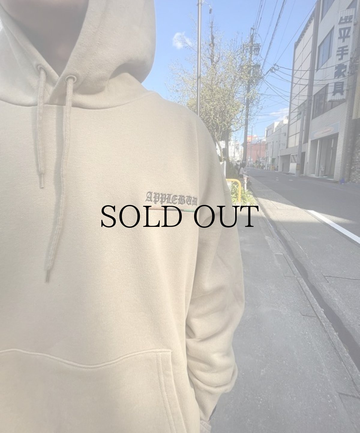 画像19: APPLEBUM(アップルバム) / ”2 OF AMERIKAZ MOST WANTED” SWEAT PARKA (19)