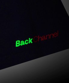 画像22: Back Channel(バックチャンネル) / BC LION TEE (22)