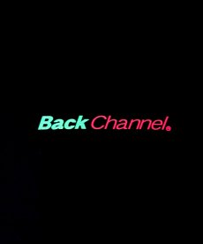 画像19: Back Channel(バックチャンネル) / BC LION TEE (19)