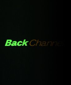 画像15: Back Channel(バックチャンネル) / BC LION TEE (15)