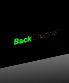 画像20: Back Channel(バックチャンネル) / BC LION TEE (20)