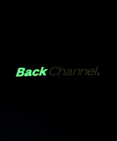 画像17: Back Channel(バックチャンネル) / BC LION TEE (17)