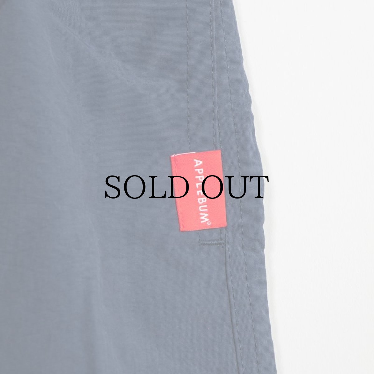 画像20: APPLEBUM(アップルバム) / ACTIVE NYLON SHORTS (20)