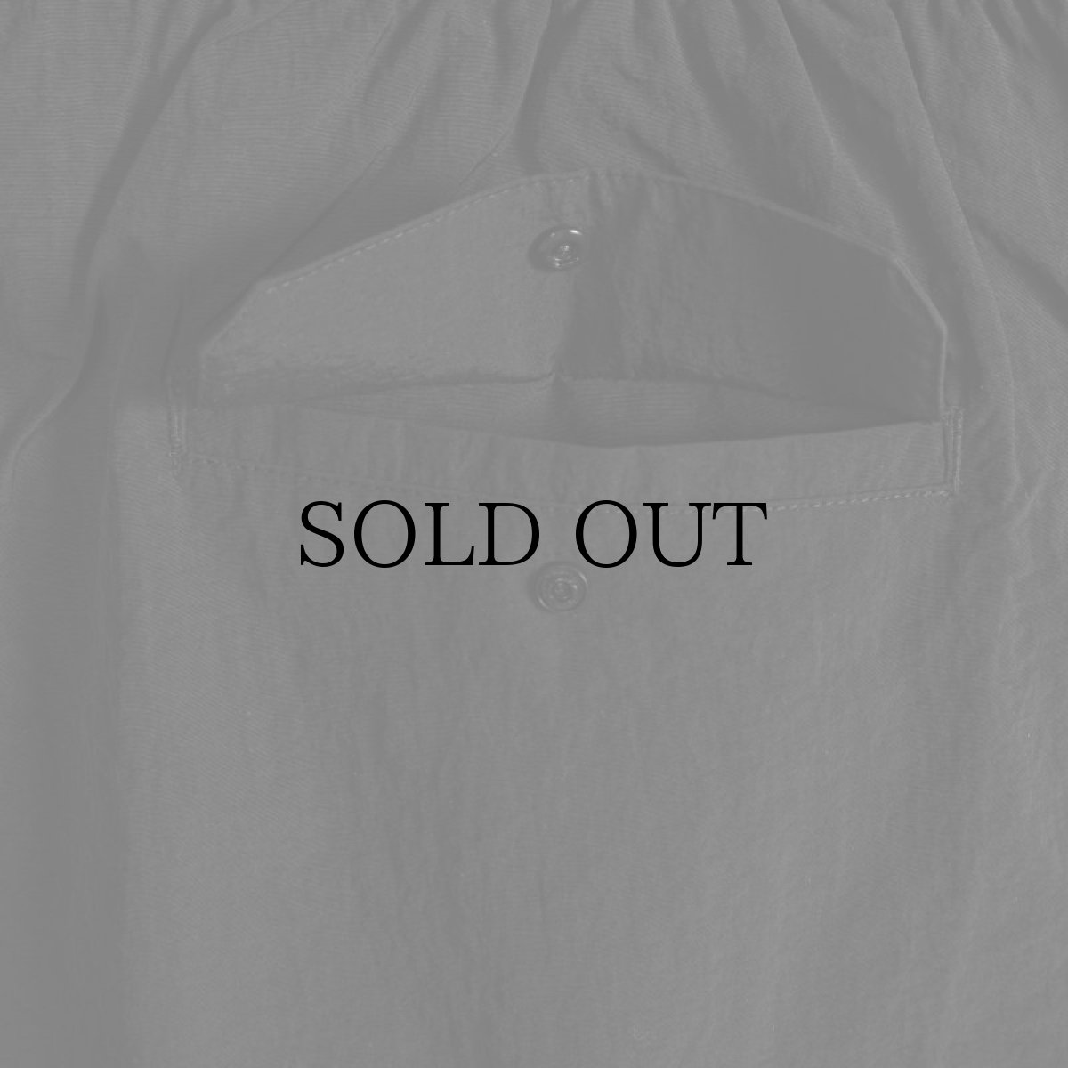 画像22: APPLEBUM(アップルバム) / ACTIVE NYLON SHORTS (22)