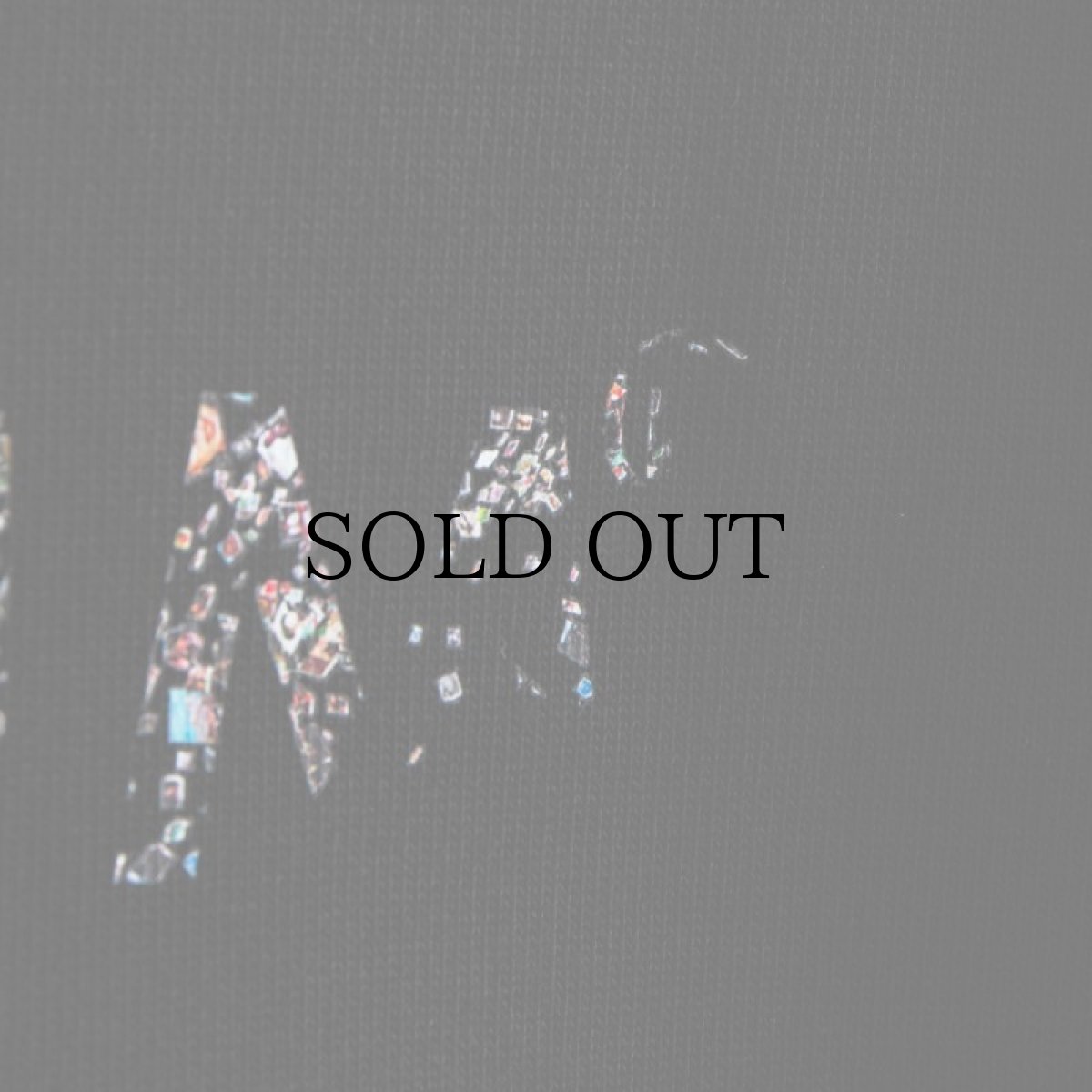 画像12: APPLEBUM(アップルバム) / ”SAMPLING SPORTS LOGO” T-SHIRT (12)