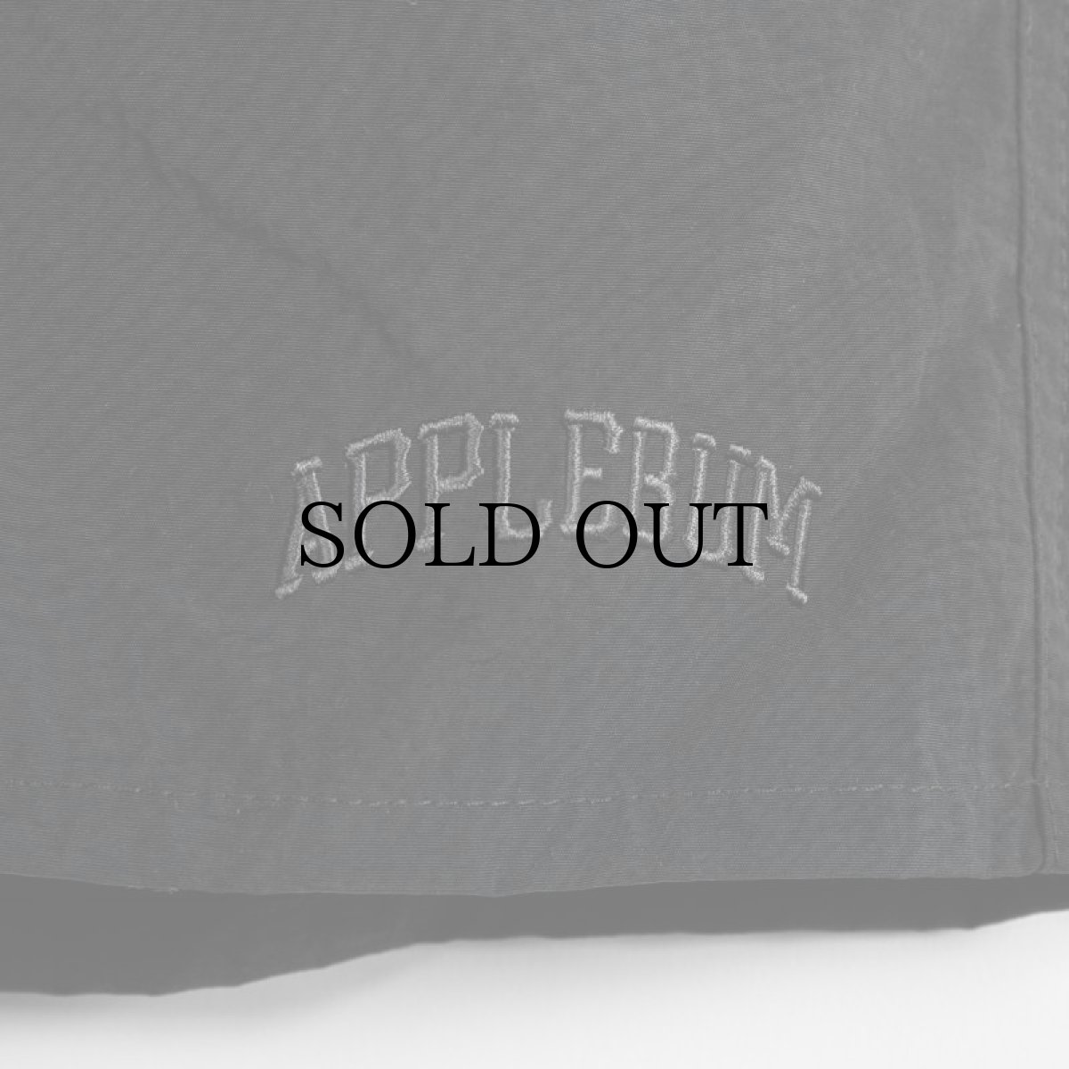 画像13: APPLEBUM(アップルバム) / ACTIVE NYLON SHORTS (13)