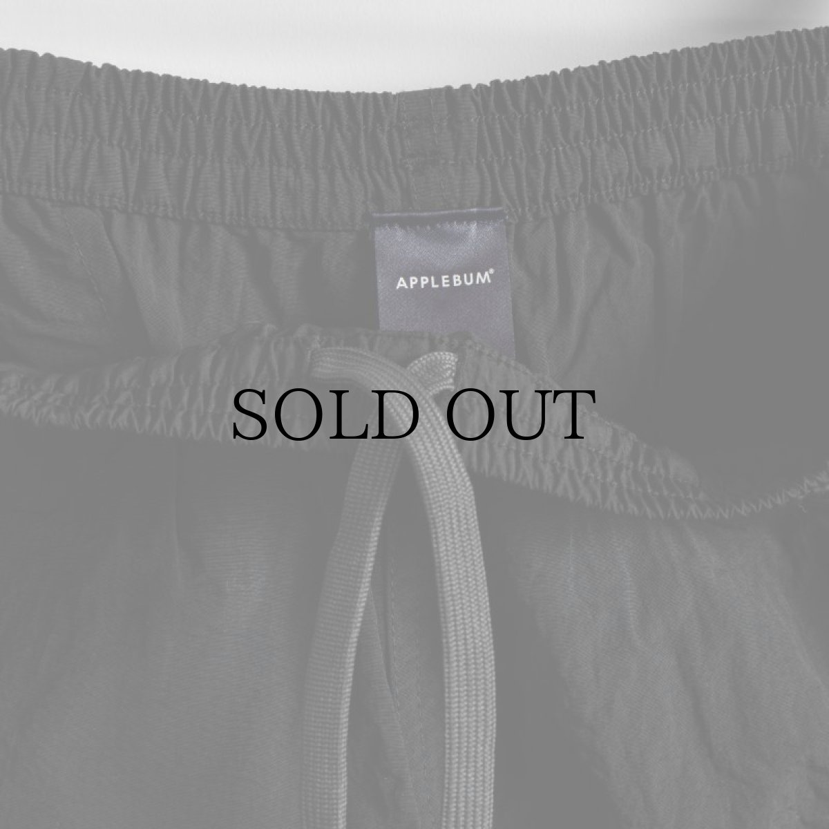 画像9: APPLEBUM(アップルバム) / ACTIVE NYLON SHORTS (9)