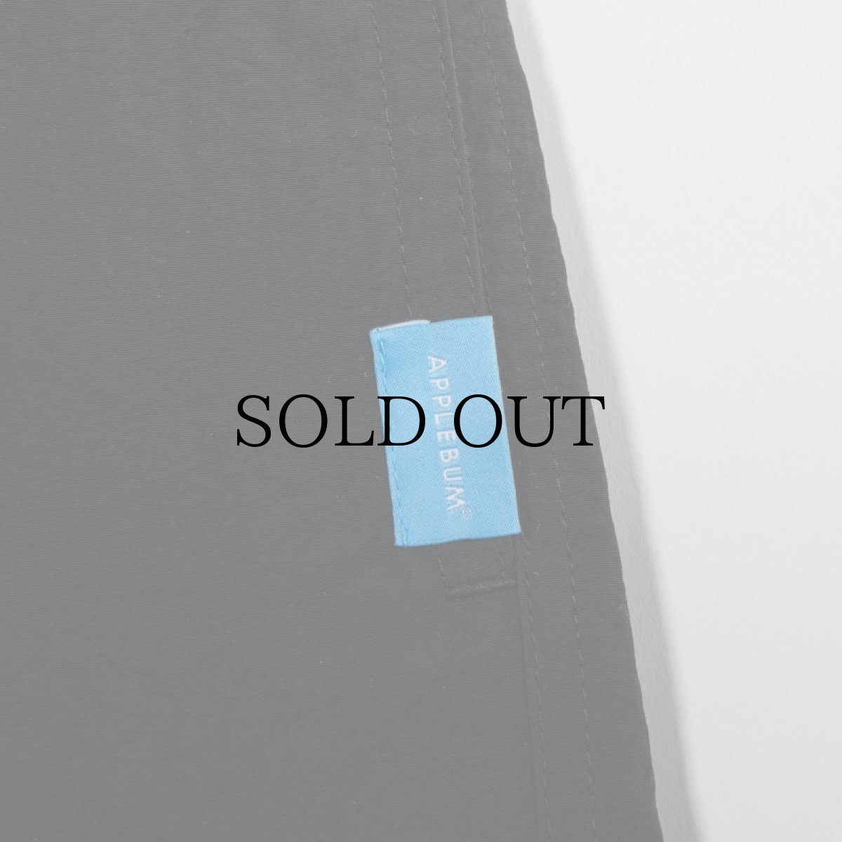 画像17: APPLEBUM(アップルバム) / ACTIVE NYLON SHORTS (17)