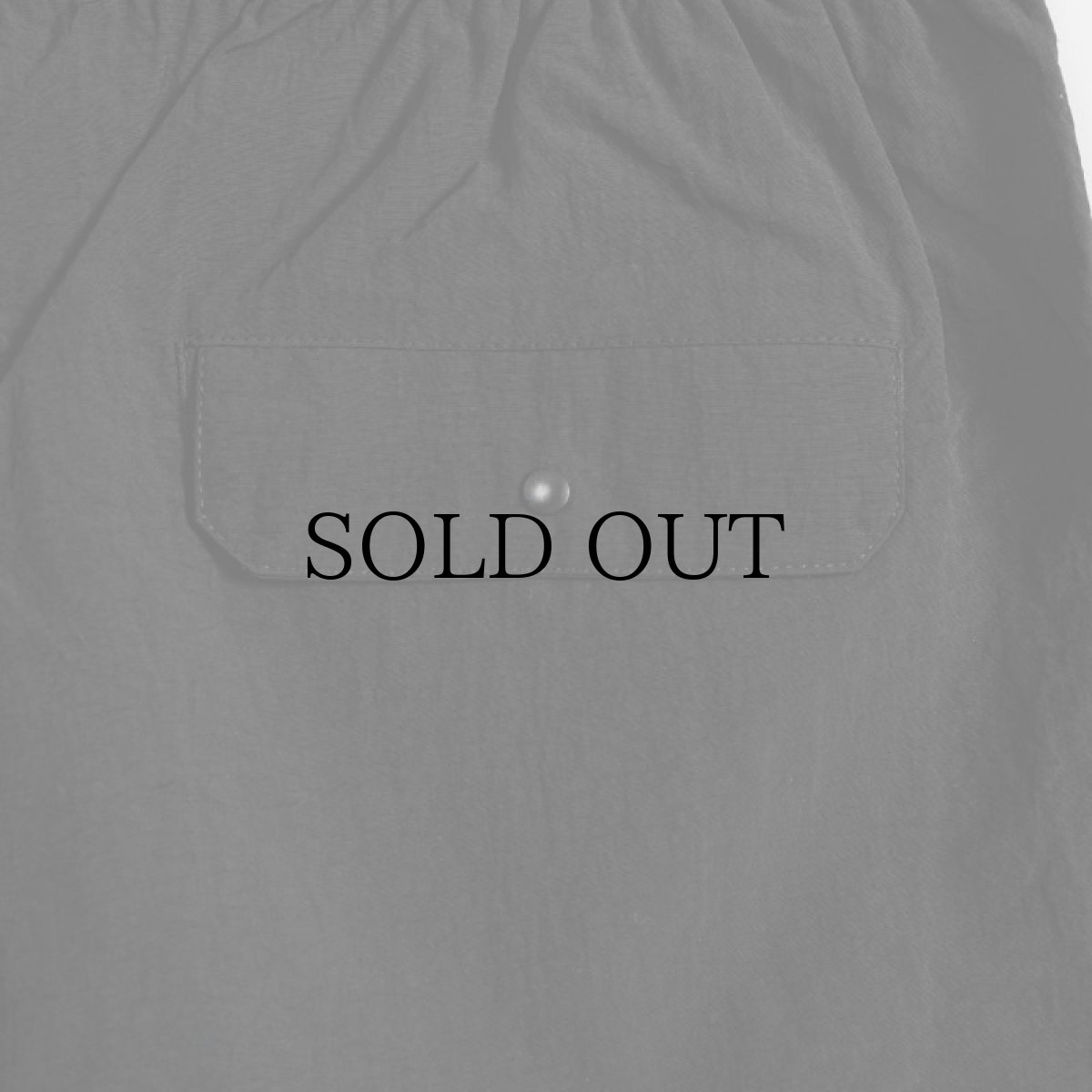 画像21: APPLEBUM(アップルバム) / ACTIVE NYLON SHORTS (21)