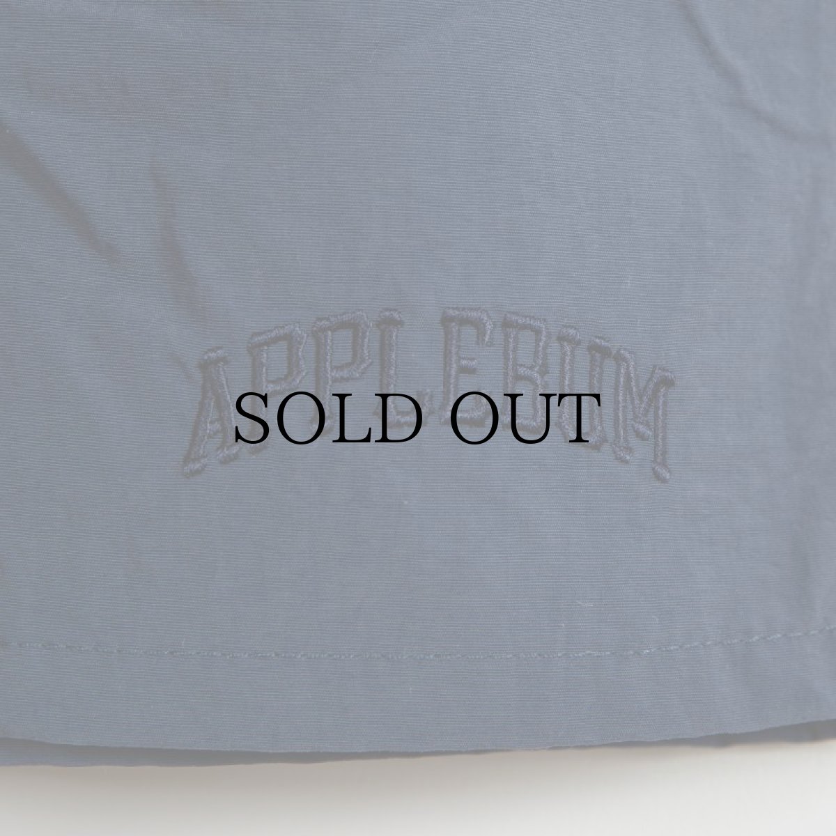 画像16: APPLEBUM(アップルバム) / ACTIVE NYLON SHORTS (16)