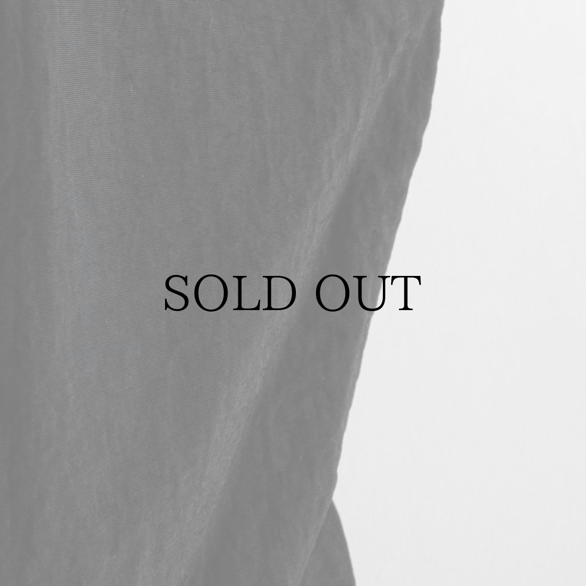 画像23: APPLEBUM(アップルバム) / ACTIVE NYLON SHORTS (23)