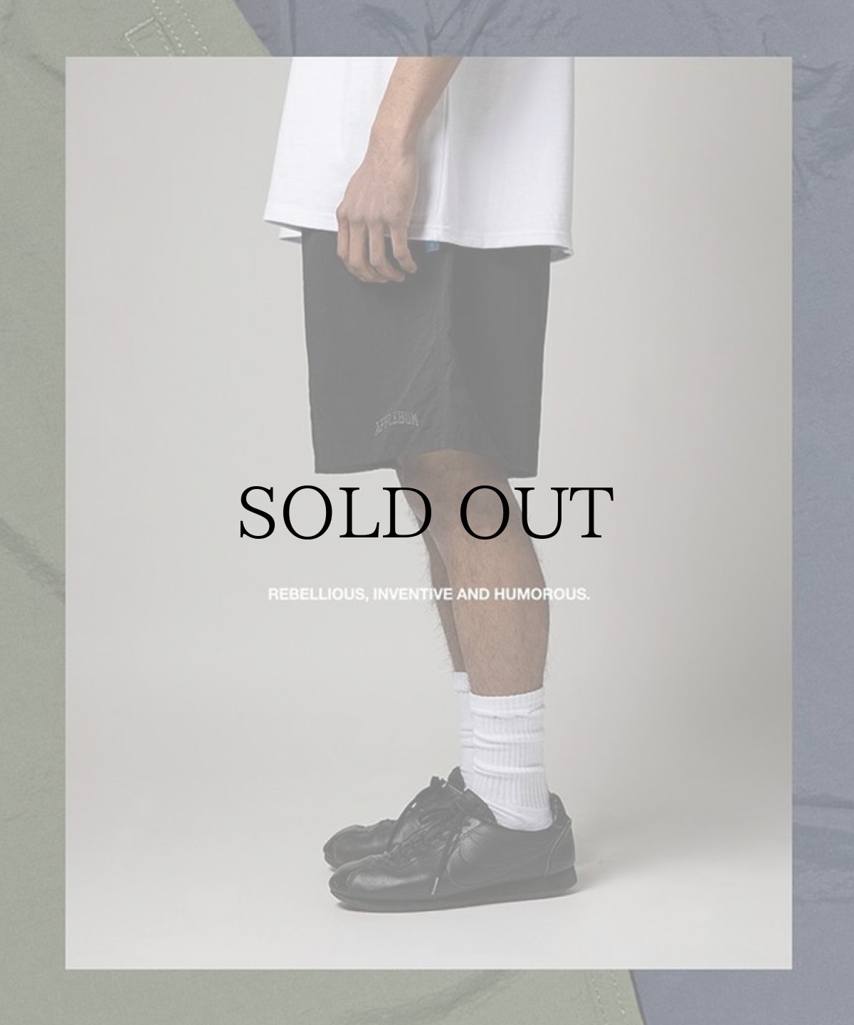 画像24: APPLEBUM(アップルバム) / ACTIVE NYLON SHORTS (24)