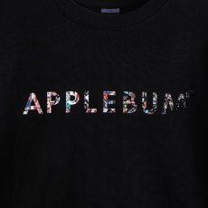 画像6: APPLEBUM(アップルバム) / ”SAMPLING SPORTS LOGO” T-SHIRT (6)