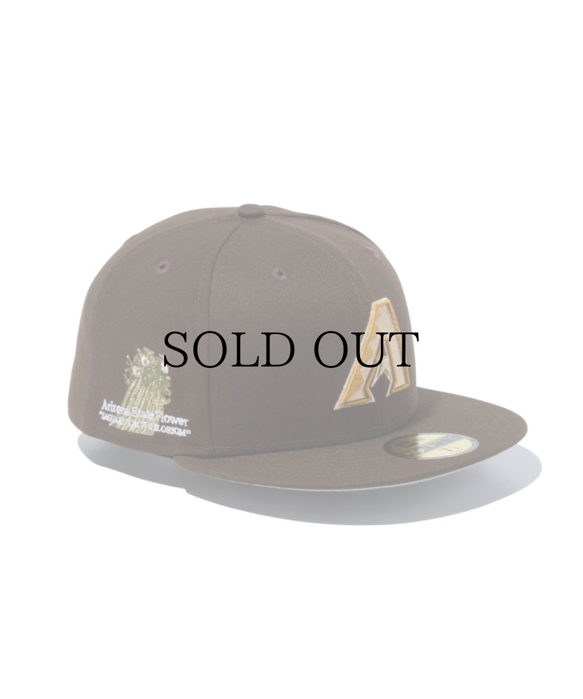 画像1: NEW ERA / 59FIFTY MLB State Flowers アリゾナ・ダイヤモンドバックス (1)