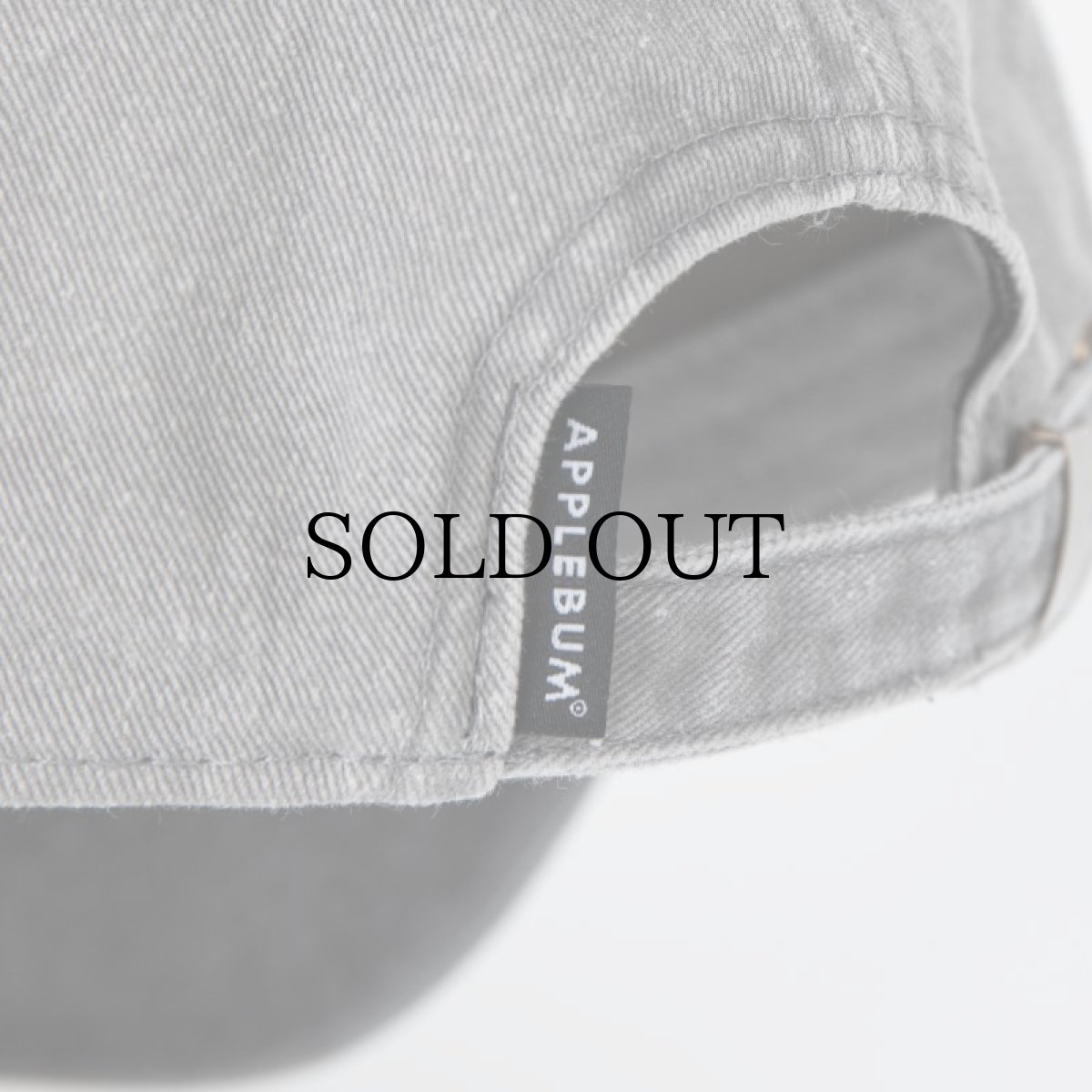 画像19: APPLEBUM(アップルバム) / PIGMENT DYED TWO TONE CAP (19)