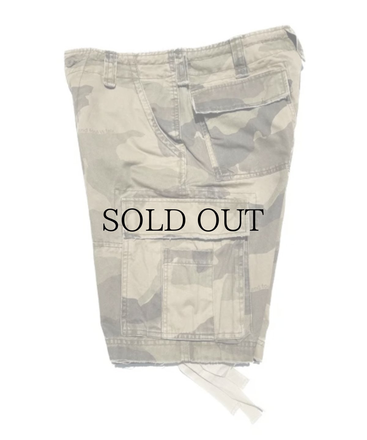 画像3: 【20%OFF】WANNA / WANNA Mirageland cargo shorts (3)