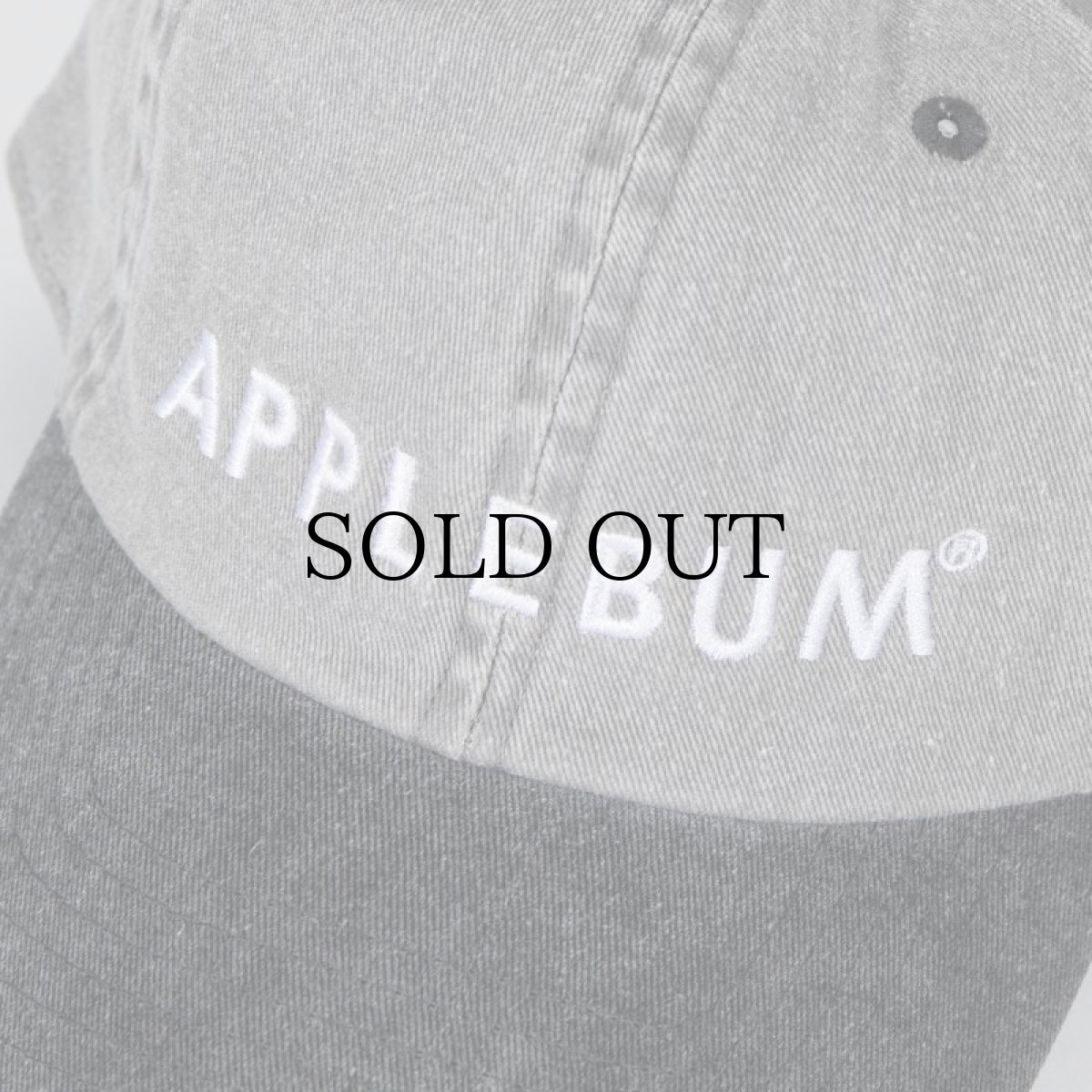 画像16: APPLEBUM(アップルバム) / PIGMENT DYED TWO TONE CAP (16)