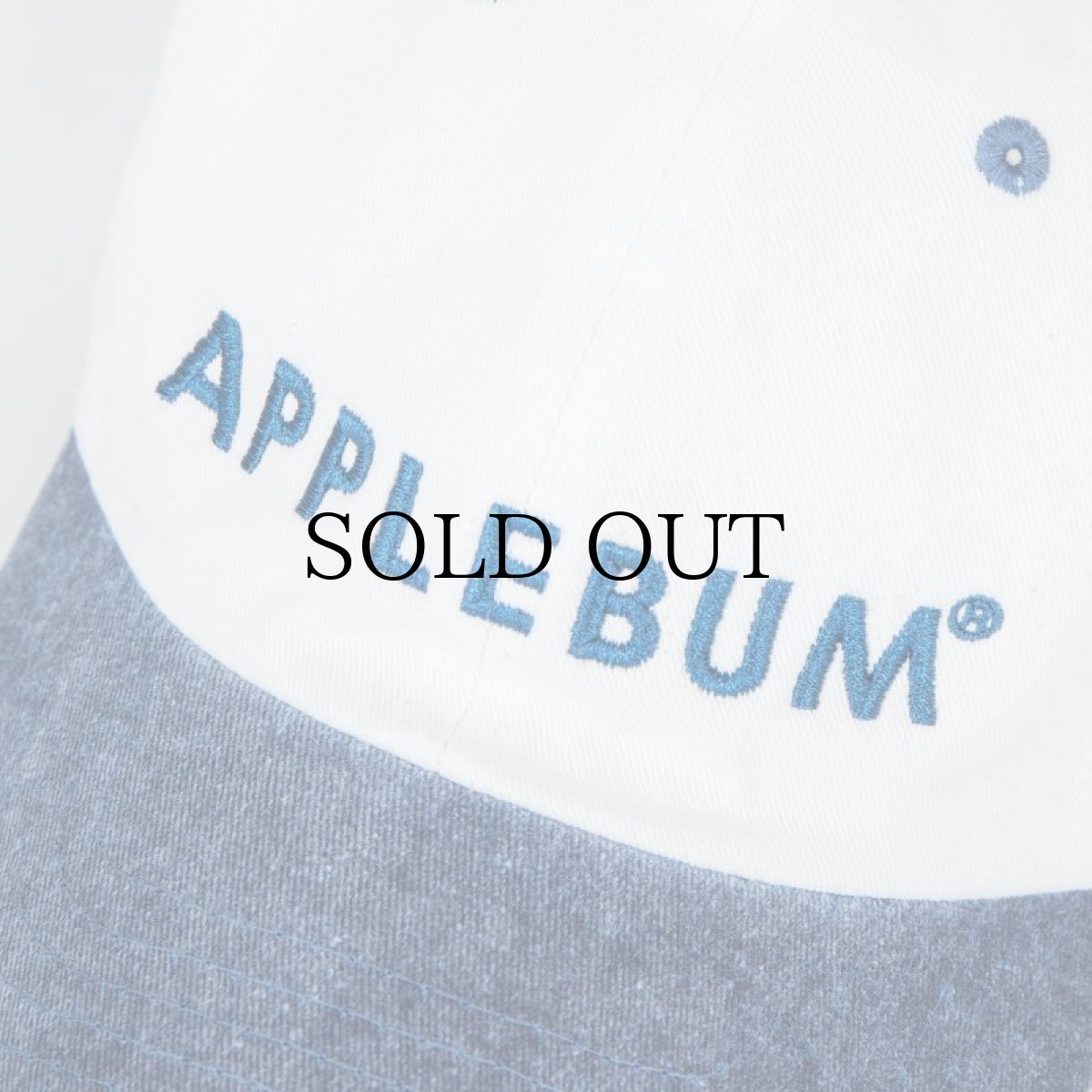 画像17: APPLEBUM(アップルバム) / PIGMENT DYED TWO TONE CAP (17)