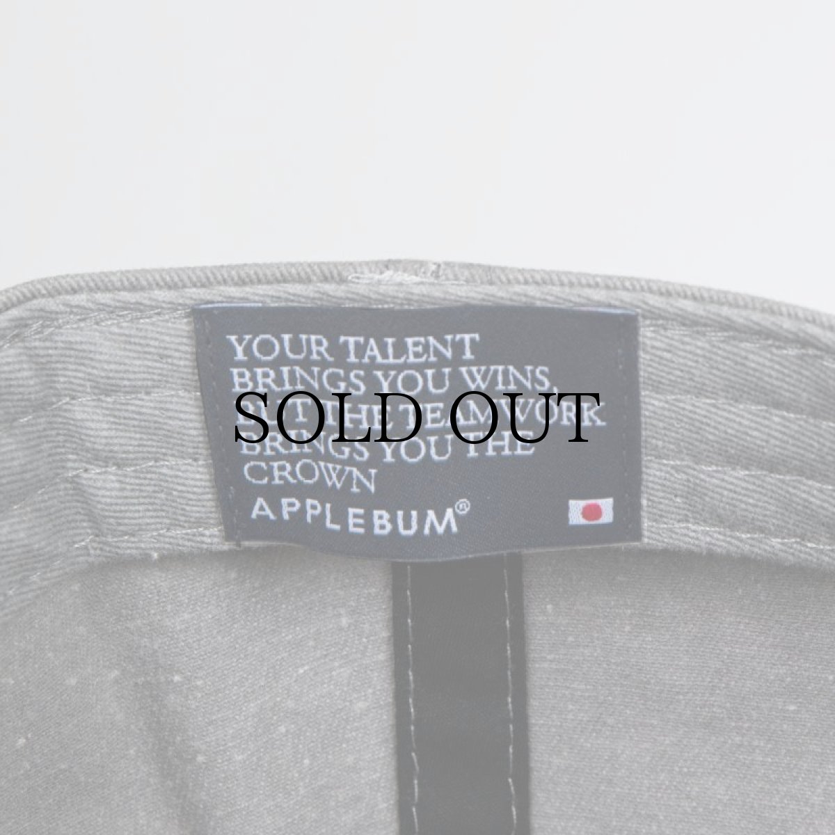 画像20: APPLEBUM(アップルバム) / PIGMENT DYED TWO TONE CAP (20)