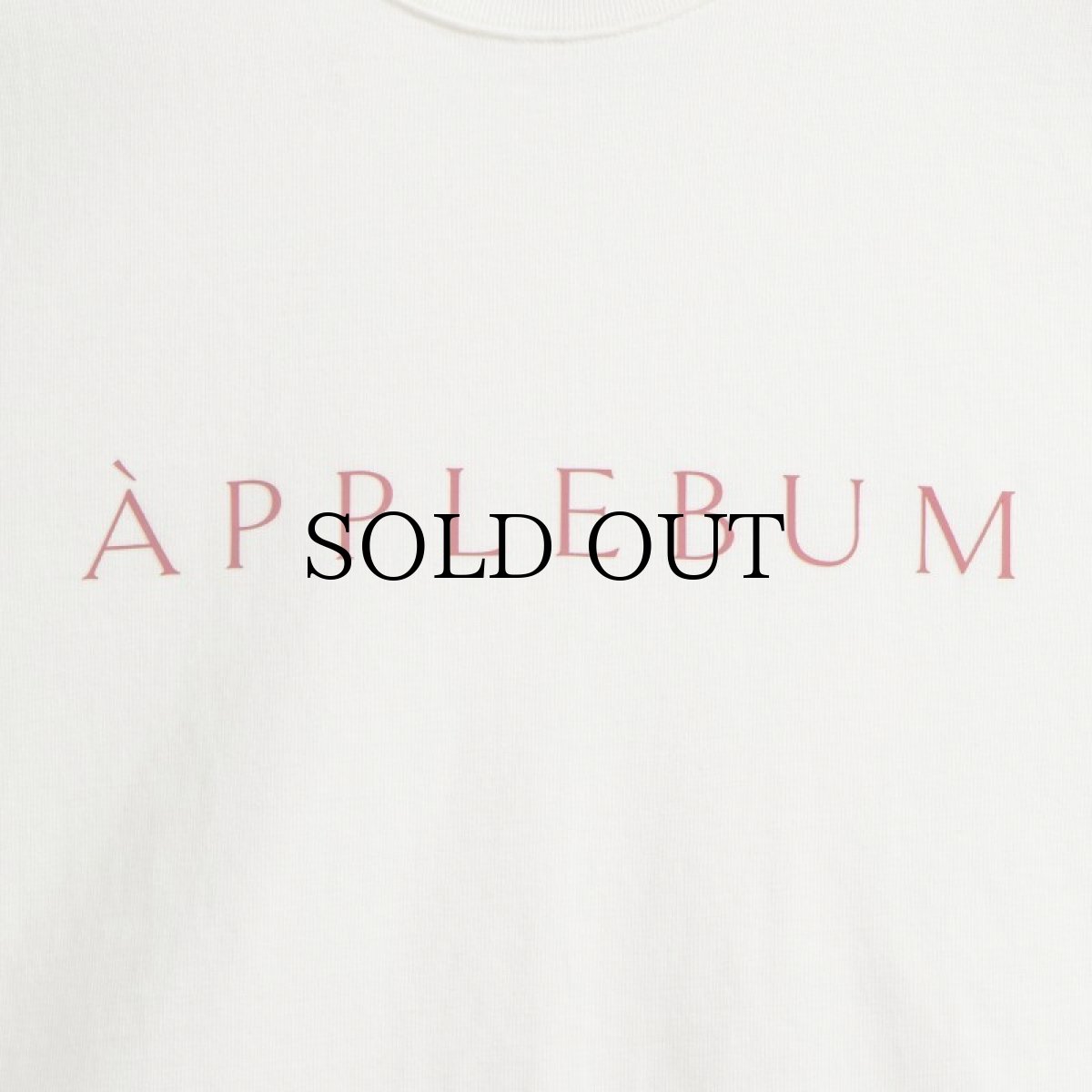 画像13: APPLEBUM(アップルバム) / LOGO T-SHIRT 12OZ (13)