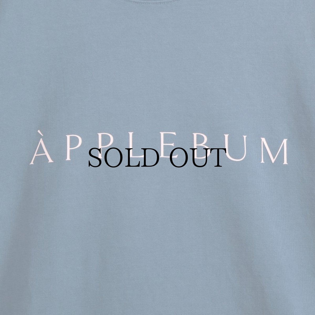 画像16: APPLEBUM(アップルバム) / LOGO T-SHIRT 12OZ (16)