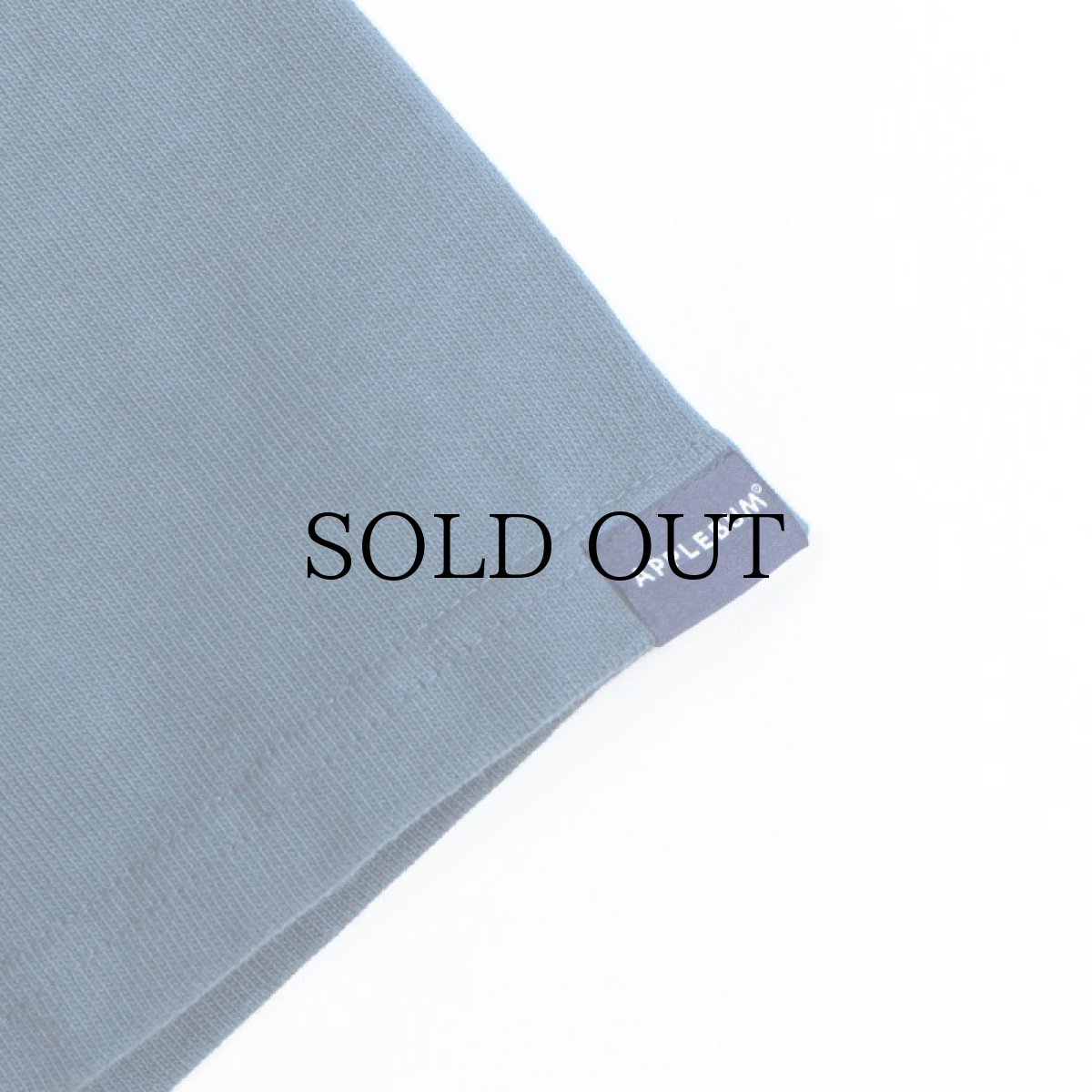 画像23: APPLEBUM(アップルバム) / LOGO T-SHIRT 12OZ (23)