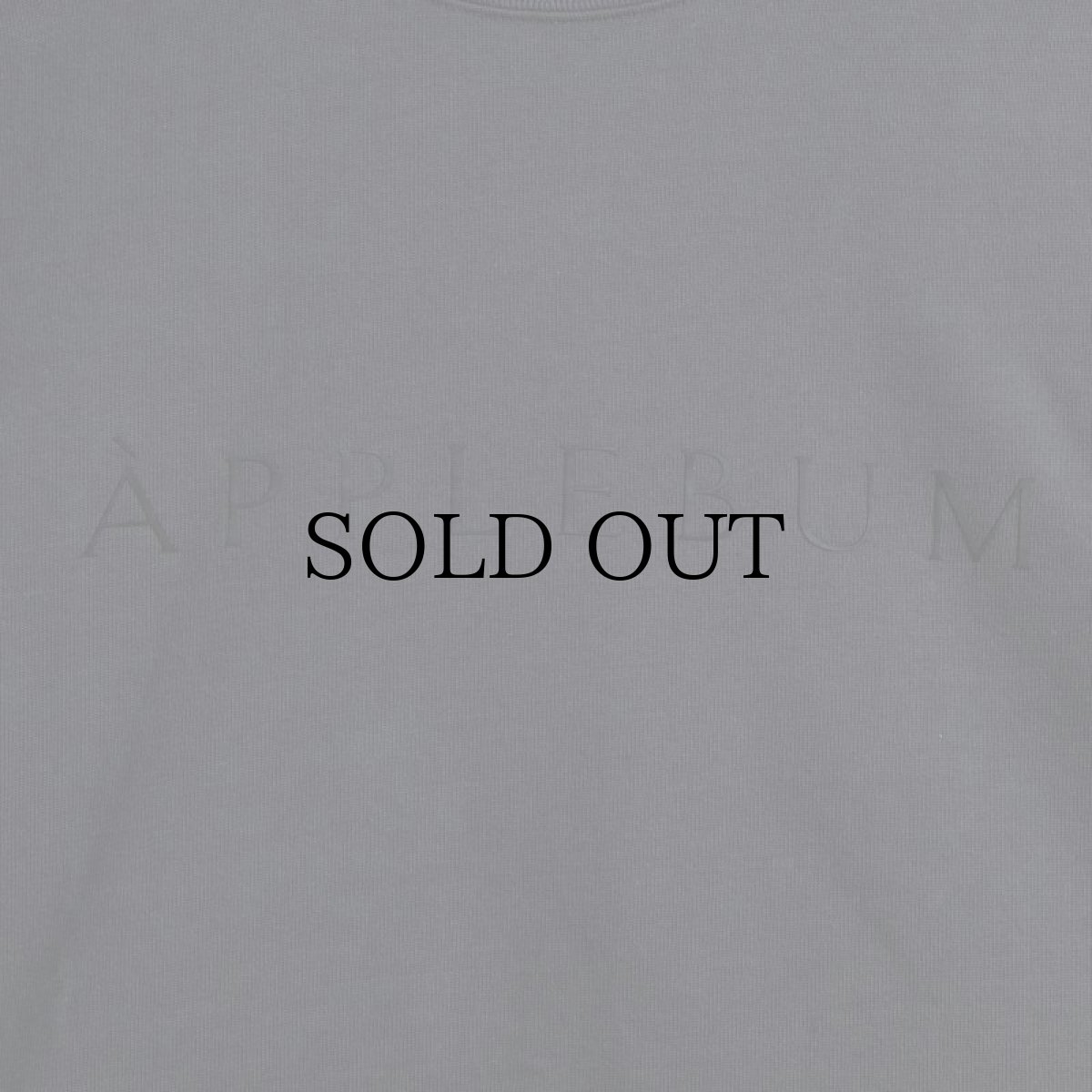 画像14: APPLEBUM(アップルバム) / LOGO T-SHIRT 12OZ (14)