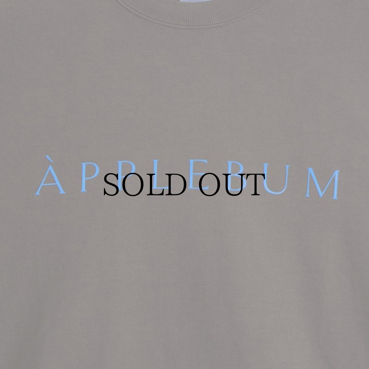 画像15: APPLEBUM(アップルバム) / LOGO T-SHIRT 12OZ (15)