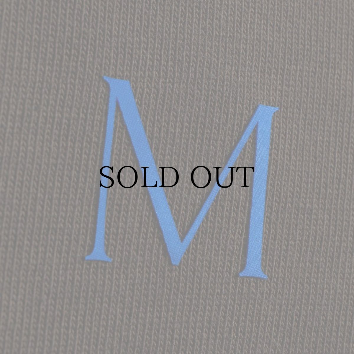 画像19: APPLEBUM(アップルバム) / LOGO T-SHIRT 12OZ (19)