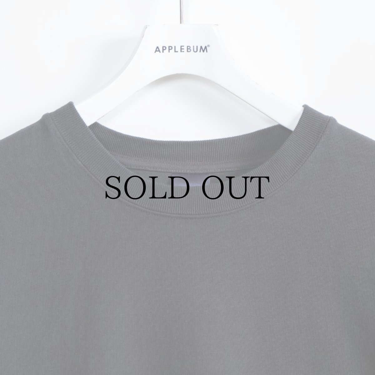 画像10: APPLEBUM(アップルバム) / LOGO T-SHIRT 12OZ (10)