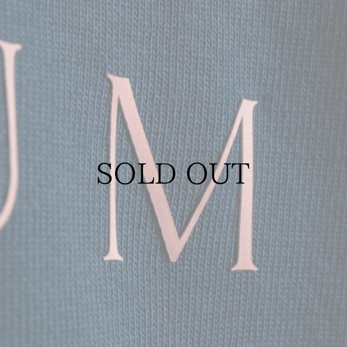 画像20: APPLEBUM(アップルバム) / LOGO T-SHIRT 12OZ (20)