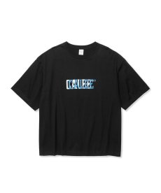 画像2: CALEE(キャリー) / DROP SHOULDER CALEE BLUR LOGO TEE (2)