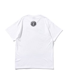 画像6: PRILLMAL(プリルマル) / BASIC '95 !!! S/S T-SHIRTS (6)