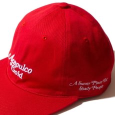 画像17: ACAPULCO GOLD / UNTOUCHABLE 6-PANEL CAP (17)